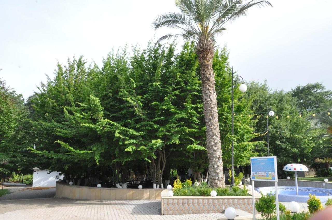 Vilesh Palace Hotel Masallı Екстериор снимка