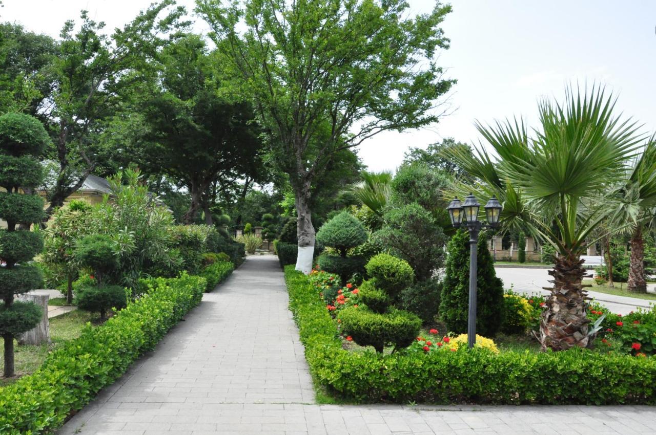 Vilesh Palace Hotel Masallı Екстериор снимка