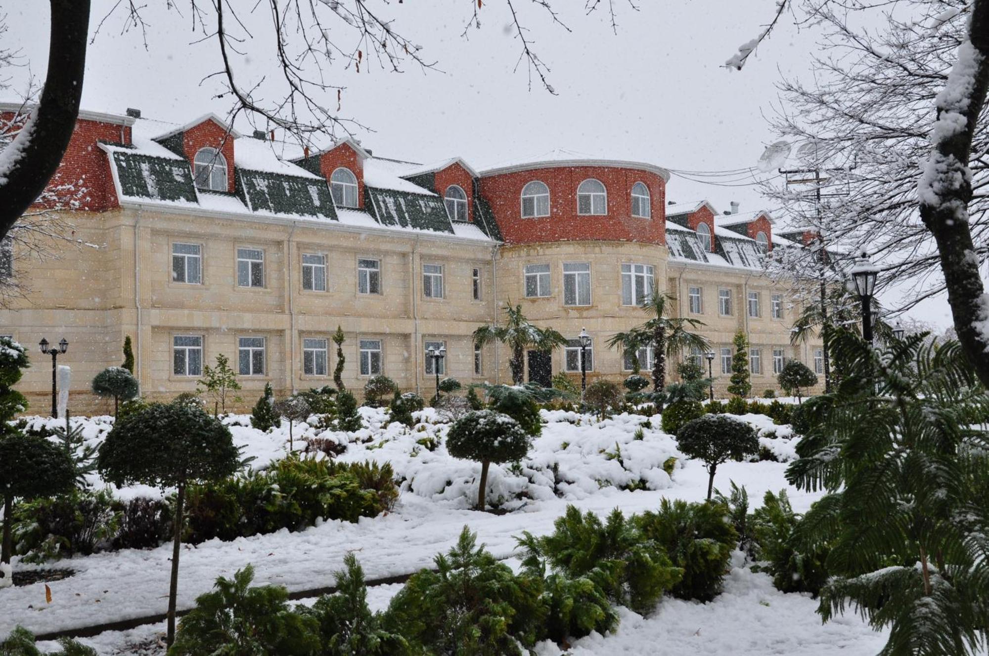 Vilesh Palace Hotel Masallı Екстериор снимка